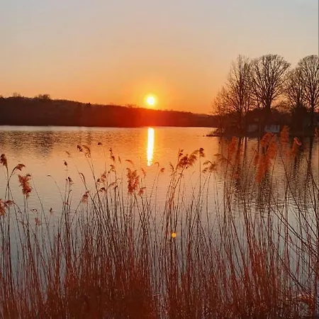 Magaze De Luxe 펜션