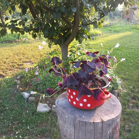 Magaze De Luxe Ferienhaus *