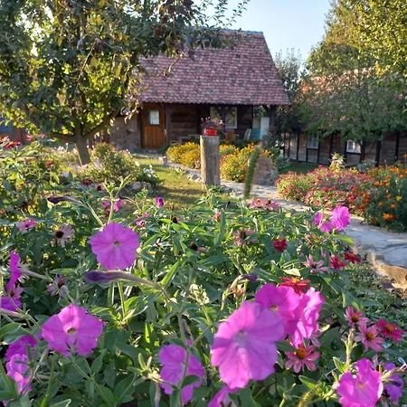 펜션 Magaze De Luxe